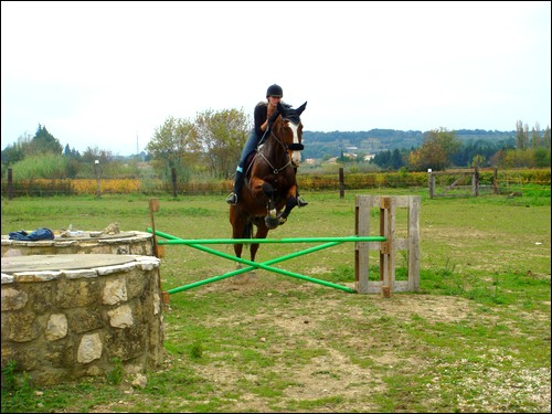 Vos plus belles photos en Obstacle . Dsc07410