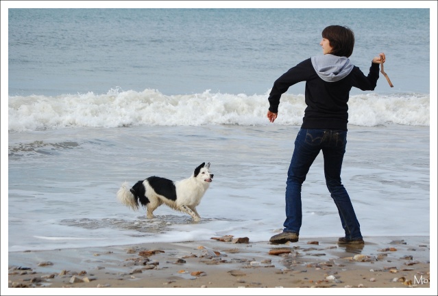 journée à la plage 815