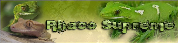 Demande de Bannière svp Gecko10