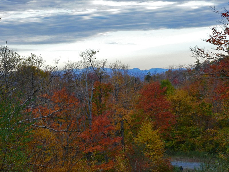 Couleurs d'automne canadien P1010310