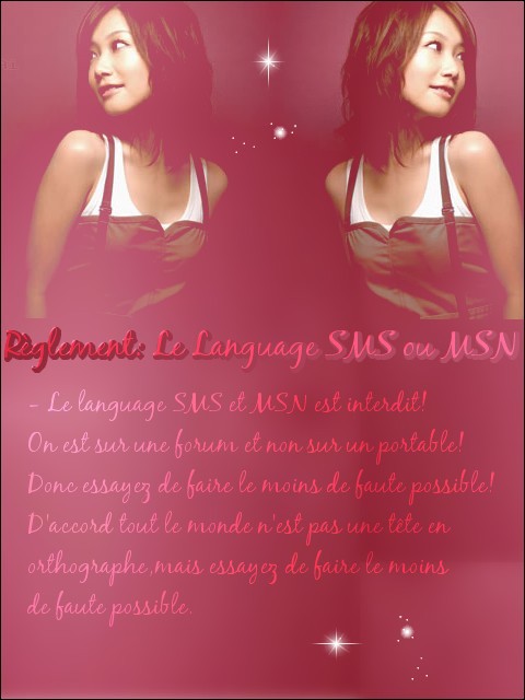  Le language SMS et MSN  Smsmsn10