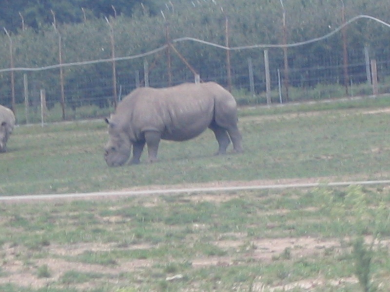 Visite au Safari Parc de Peaugres (07) Photo_10