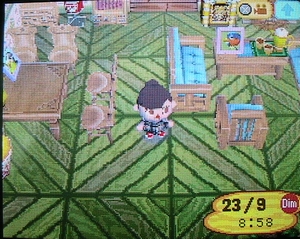 [Animal crossing] Votez pour le Concours de Beauté Maison10