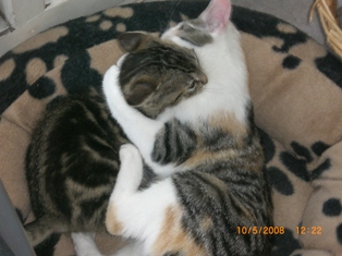 Tango, 3 mois Jeux_d10