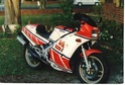yam RZ 500 Bikepi11