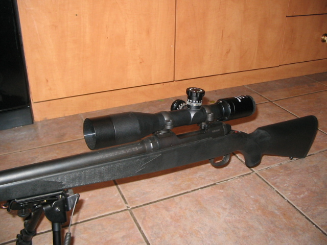 Mon premier sniper;) Sniper12