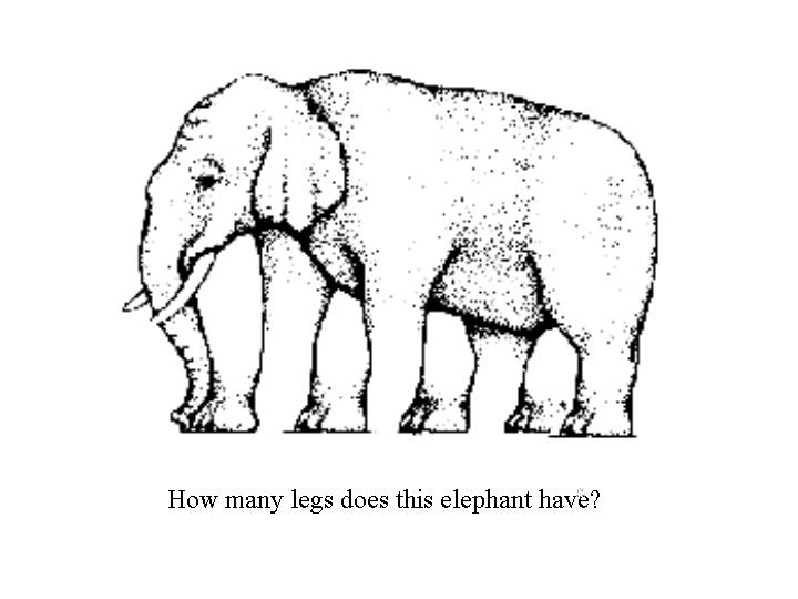 kira kaki gajah Ele10