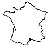 Montpellier 00000010
