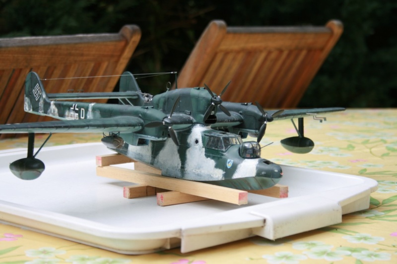 [HML] 1/48 - Blohm & Voss BV 138 Seedrache  (bv138) - Page 4 Img_0729