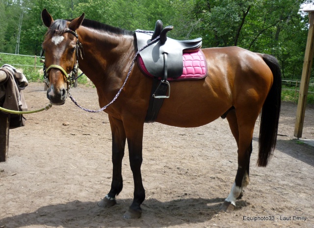 Recourber une fourche mobile, une idée comme ça... 04062014