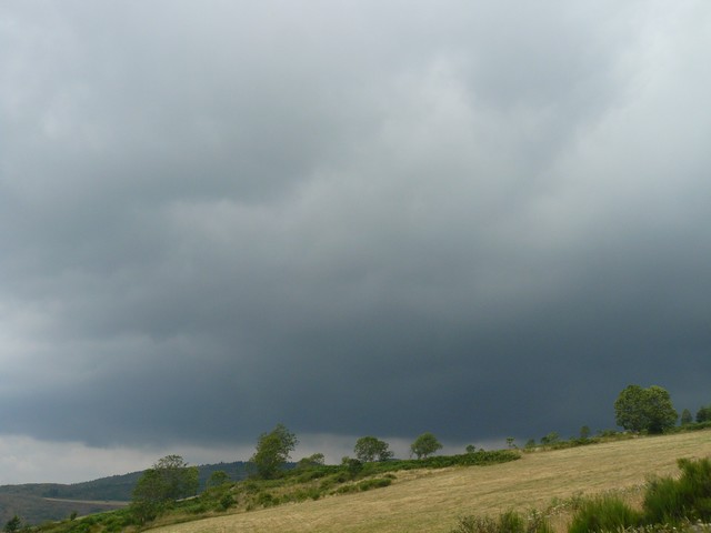 L'été 2007 /2008 P1000418