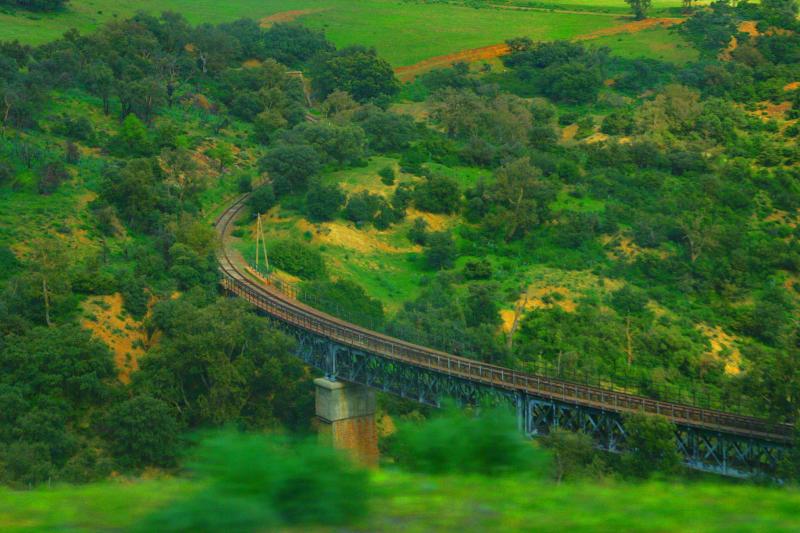 Mon beau pays:L'Algérie Photo510