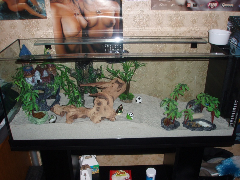 Mon aquarium Pa070010