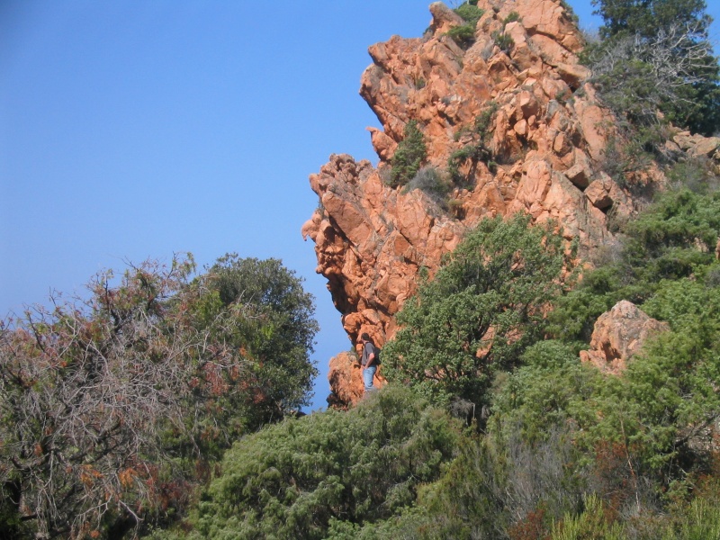 quelques photos de la Corse Calanq10