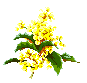 Moment de tendresse Fleurs14