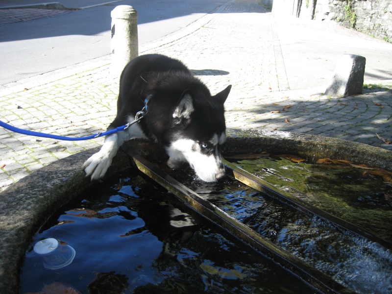 Youki rencontre Luna Img_1823