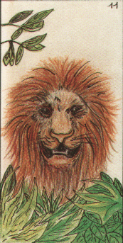 11- Le lion 112ke11
