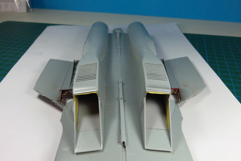 [MINIBASE] 1/48 - Sukhoi Su-33 FLANKER D    - Page 3 Img_0665