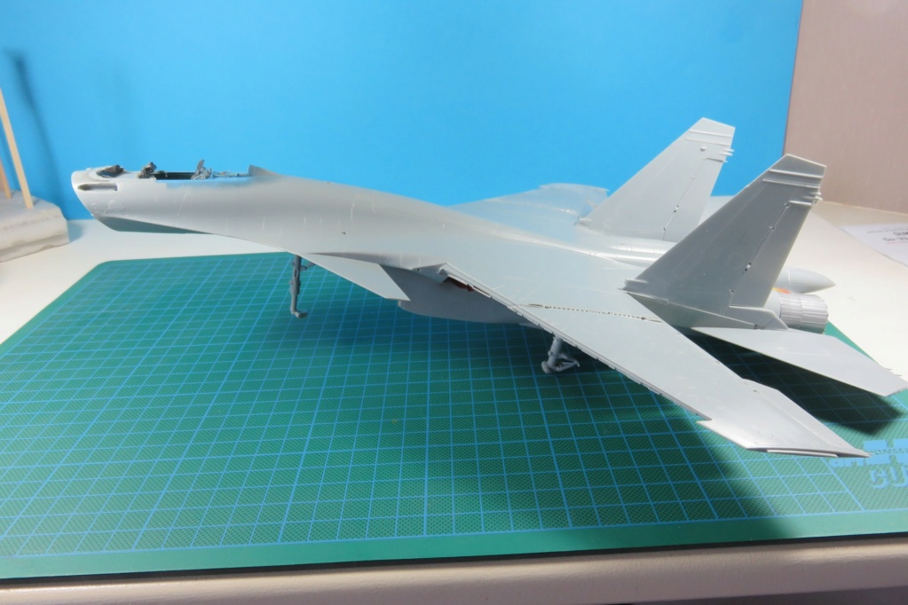 SU - 33 FLANKER - D / MINIBASE 1/48è - Page 6 Img_0891