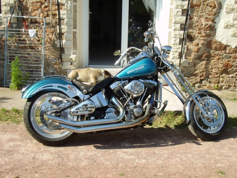 mon softail de 91 et mon trike Pict0910