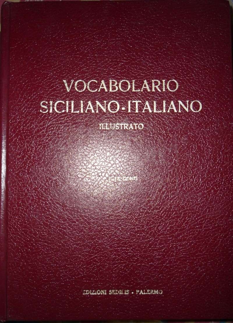 Dizionario A. Traina P1030310