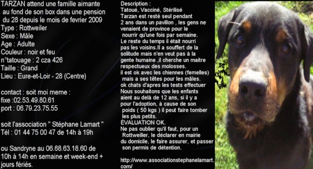 urgent pour tarzan rottweiler 8 ans qui attend depuis trop longtemps (28) 71849_10