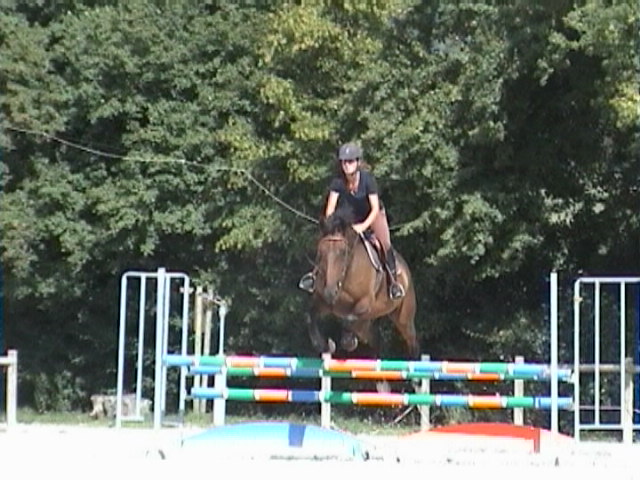 le Trotteur Français, présentation de la race, de vos chevaux... - Page 2 Photo_17