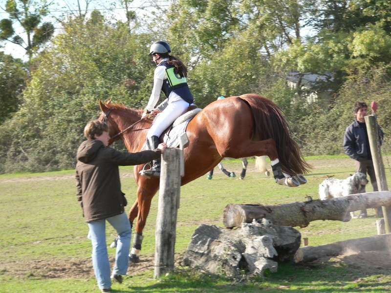 Elevage de Florent Chevaux et poneys de sport de couleurs - Page 4 P1130012