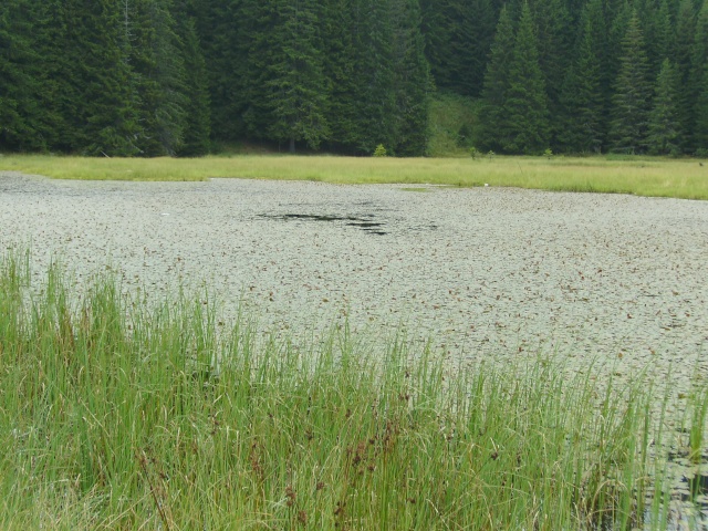 Смолянските езера Imgp0252
