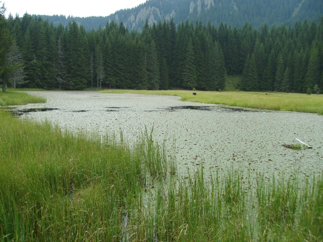 Смолянските езера Imgp0253