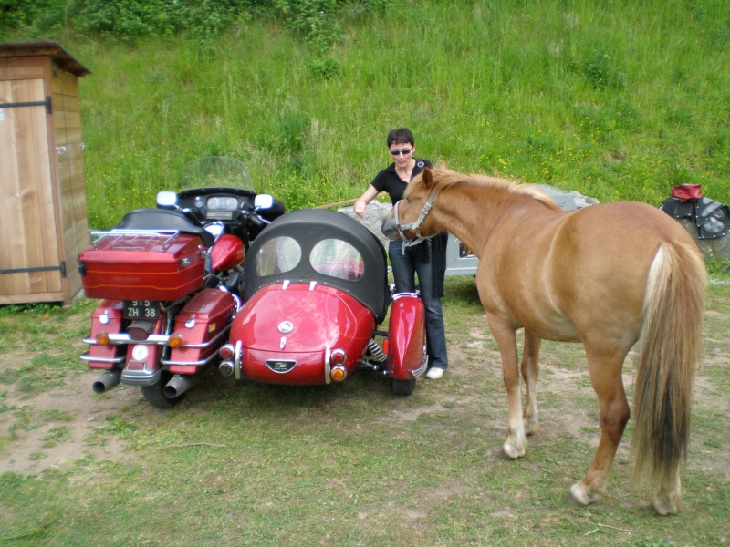 JUMBO ALSACE JUIN 2011 Alsace27