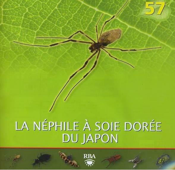 Nous faisons la collection des insectes géants et vous ? - Page 15 5710