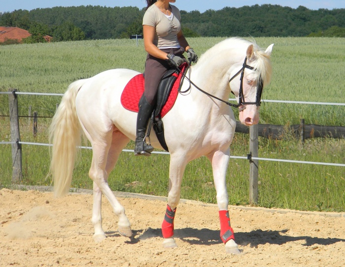 scence photo Tf6c9a10