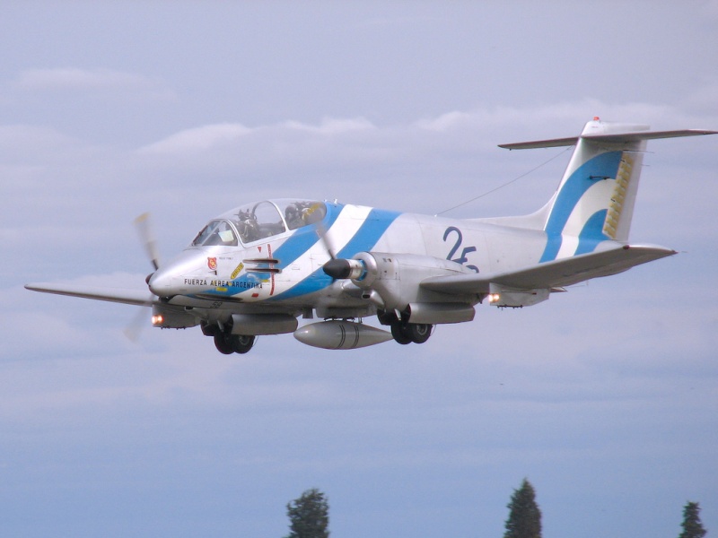 Fuerza Aérea Argentina  17280810