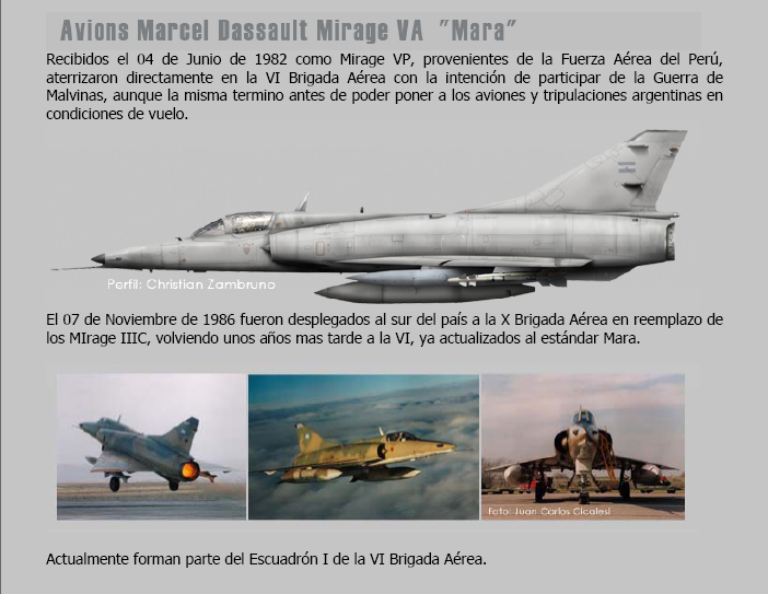 Fuerza Aérea Argentina  3010