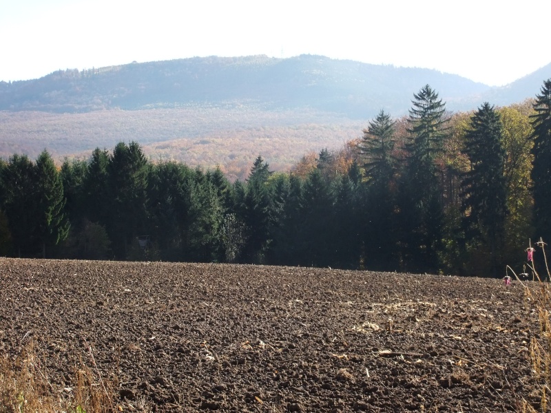 L'été indien dans les Vosges du Nord. Dscf0232