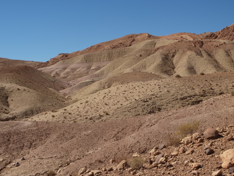 LE DESERT DES TARTARES (G.T1 P3, P4, P5 ) P1010513