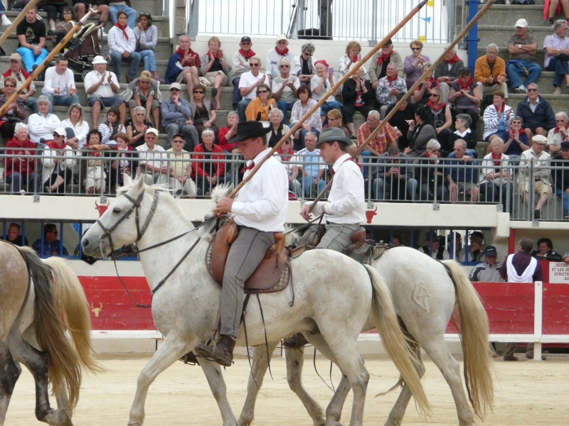 Grau du Roi 18 Sept. Finale des Vaches Cocardières  P1050421