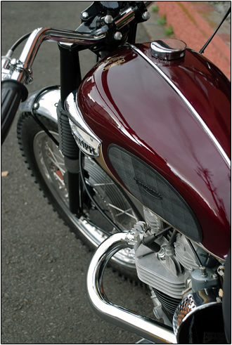 Nice TRIUMPH...  12210