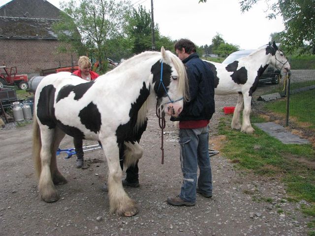 Cool nos deux gros BB au parage Parrag13