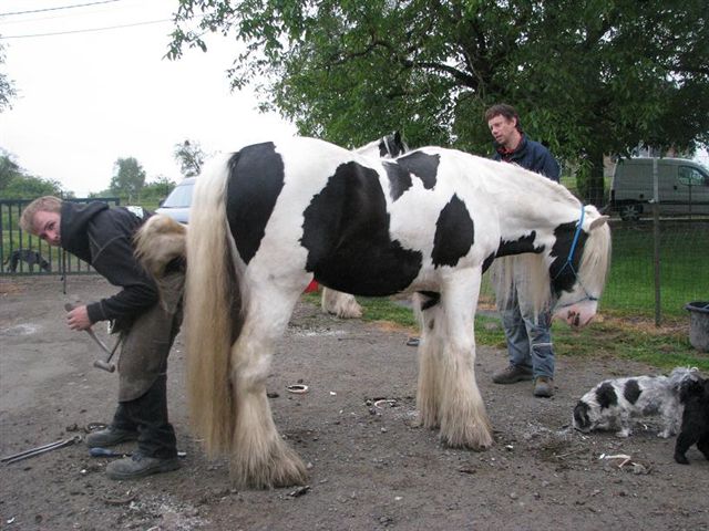 Cool nos deux gros BB au parage Parrag17