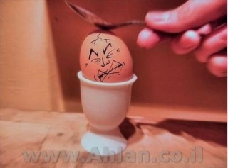 صور البيضة العجيبة Downlo24