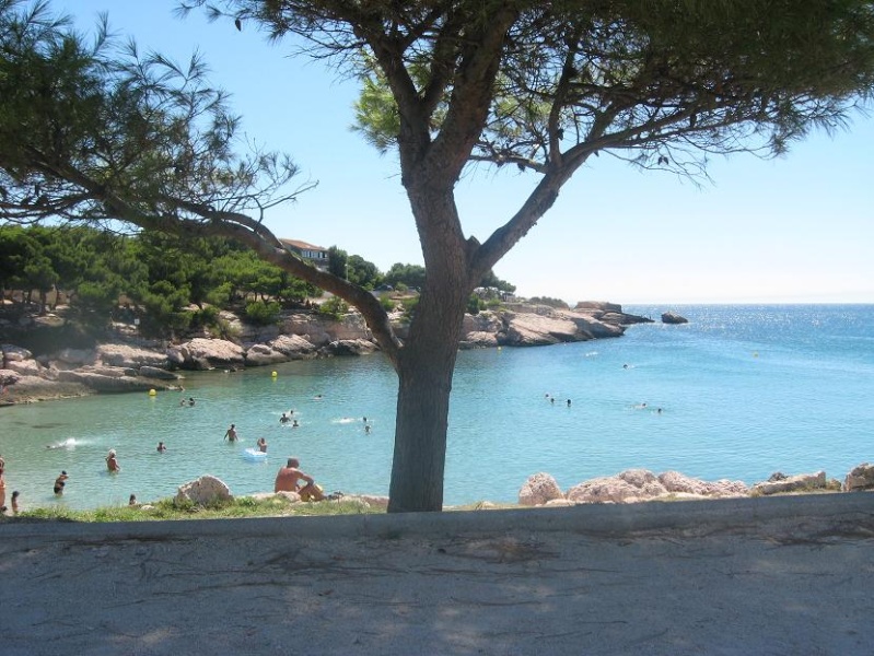D" ORANGE A LA COTE BLEUE NOUS A EN AVONS VU DE TOUTES LES COULEURS Photos11
