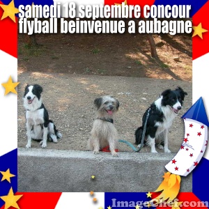 LE FLYBALL AU S.C.C.E - Page 6 Samp6310