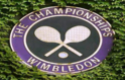 Wimbledon 2011 info/biglietti/varie W18