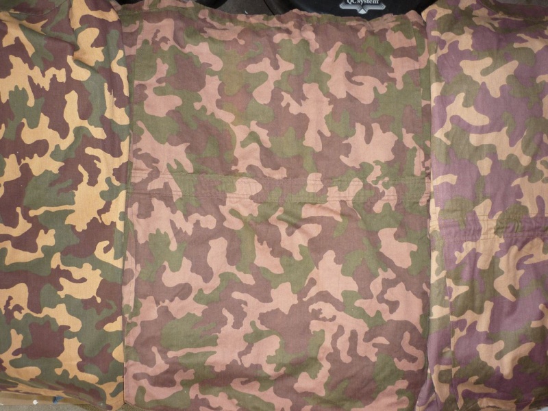 Types of Camo uniform for the Ministry of Defense P1100712