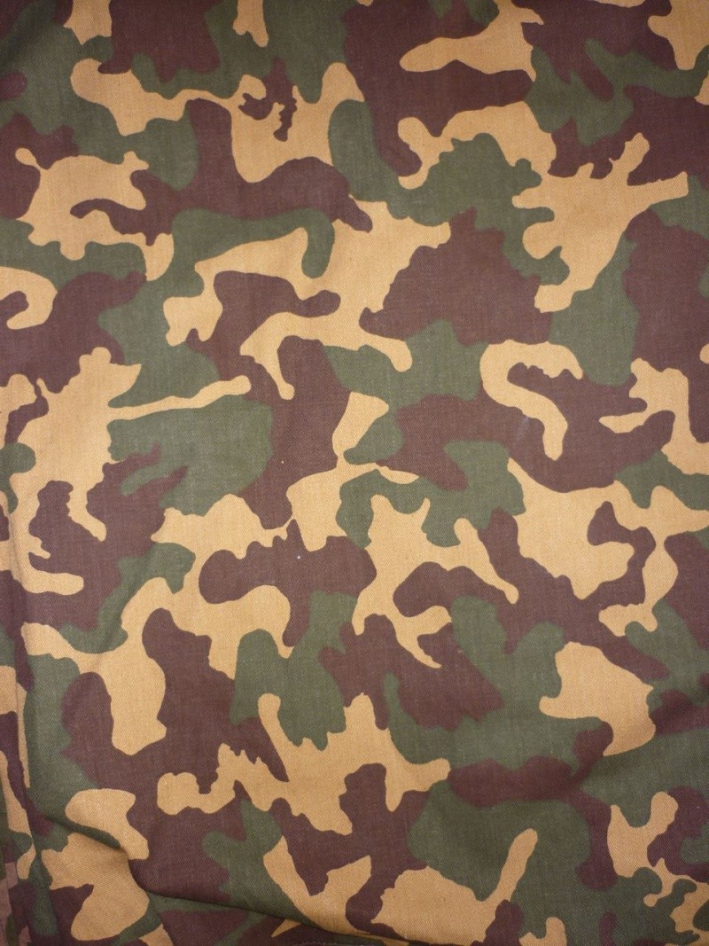 Types of Camo uniform for the Ministry of Defense P1100715
