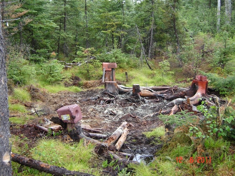 Voyage en Abitibi !!!  pour faire mes salines !!! Dsc00415