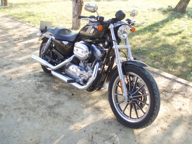 Harley Davidson modelo Sporter Low 883 P1010011