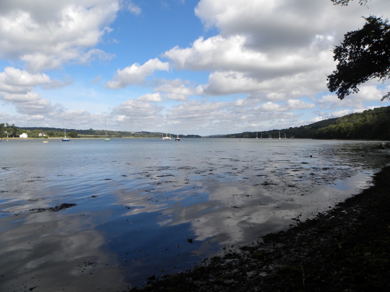 Bord de mer 10010